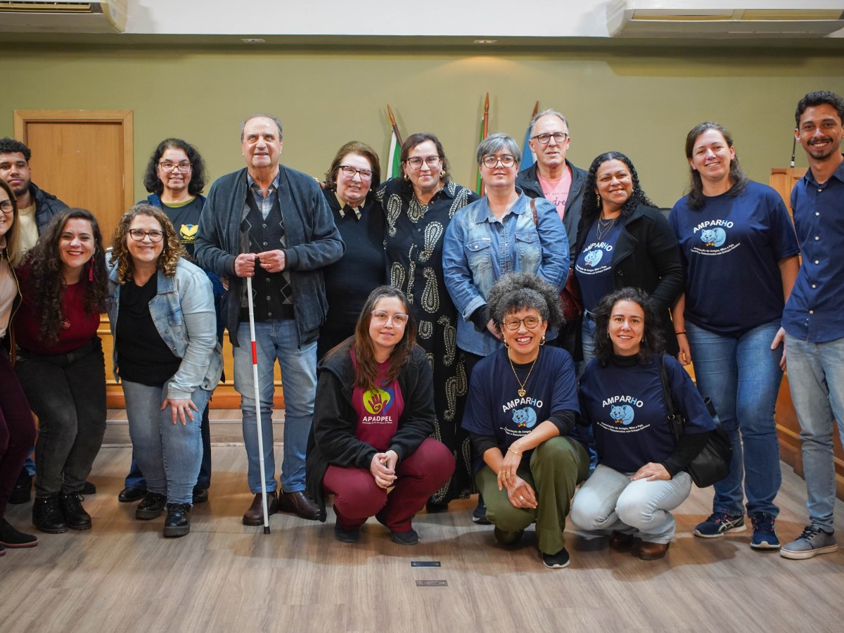 Audiência Pública alusiva a Semana Estadual e Municipal da Pessoa com Deficiência debate avanços e desafios dos 10 anos da&nbsp;LBI